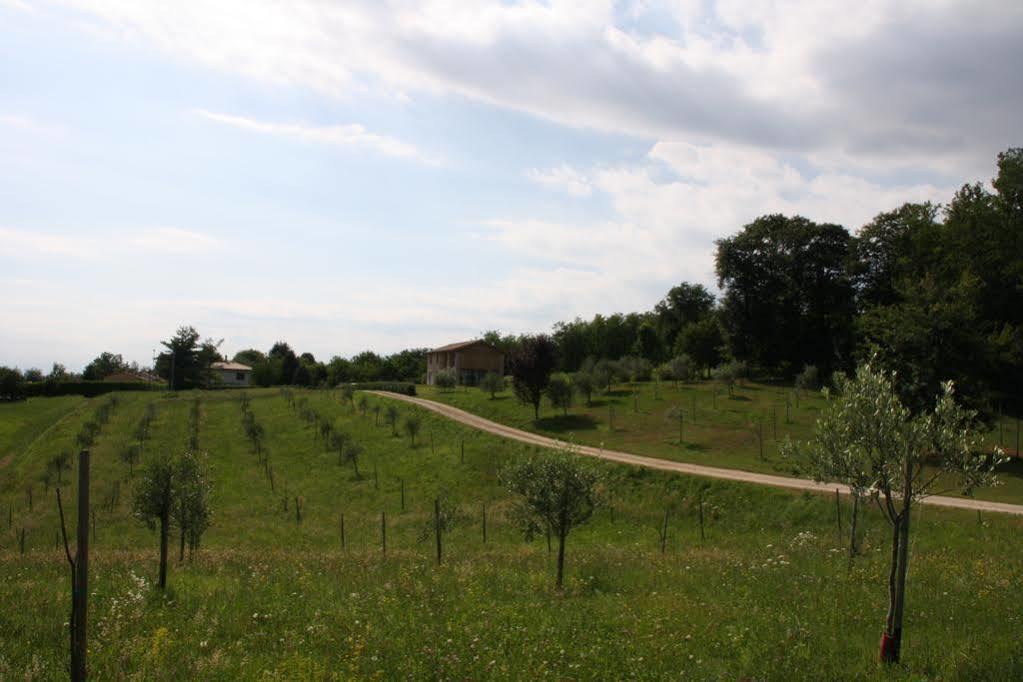 Agriturismo Da Merlo Trivignano Kültér fotó